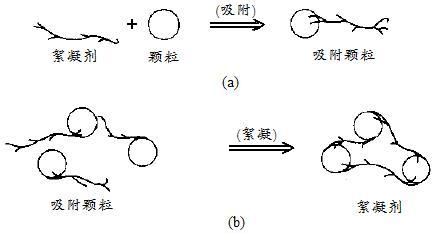 水网_shui.org